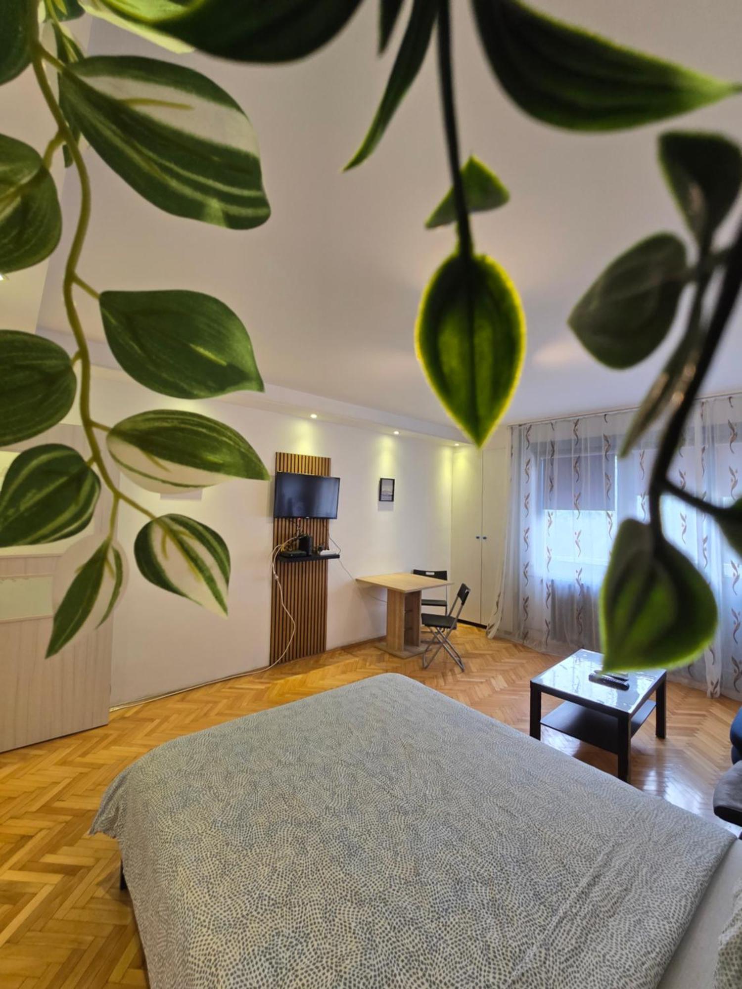 Azzurro Studio Apartment Belgrado Exterior foto
