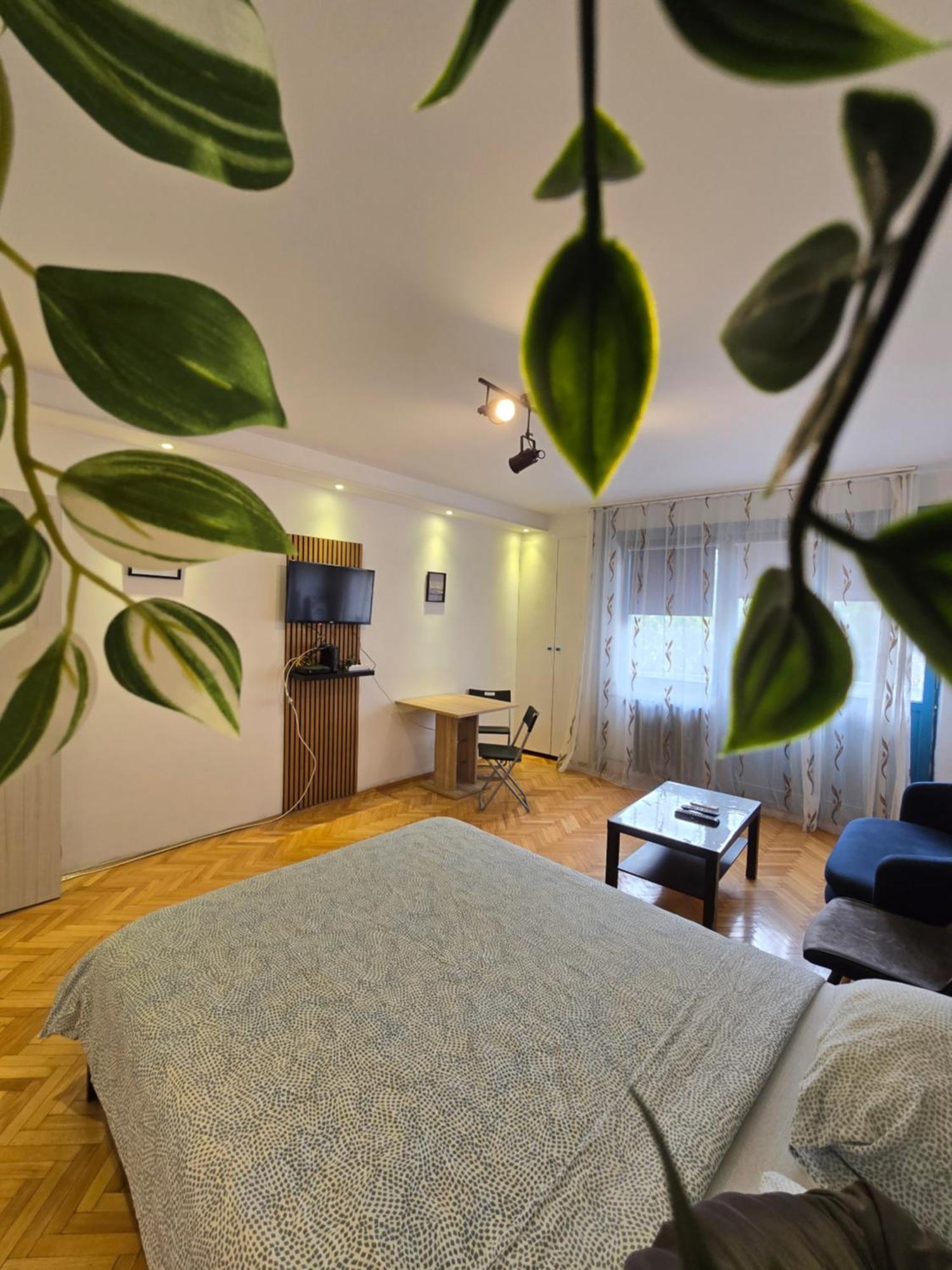 Azzurro Studio Apartment Belgrado Exterior foto
